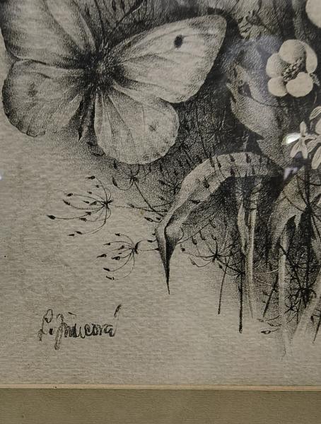 Stodola.cz - Květiny